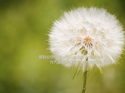 开化旅游（探秘开化：山水画卷里的旅游天堂）