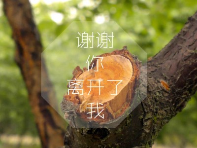 合肥旅游学校 合肥旅游学校电话