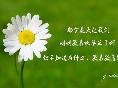 探索徽州文化：屯溪老街的历史与风情