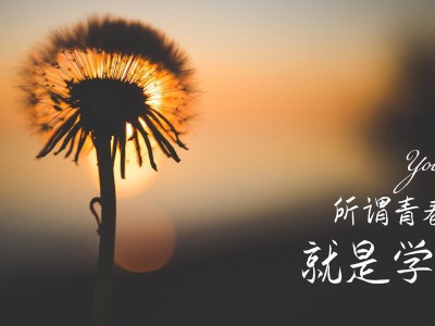 荫德(荫德流芳：家族传承的智慧与美德)